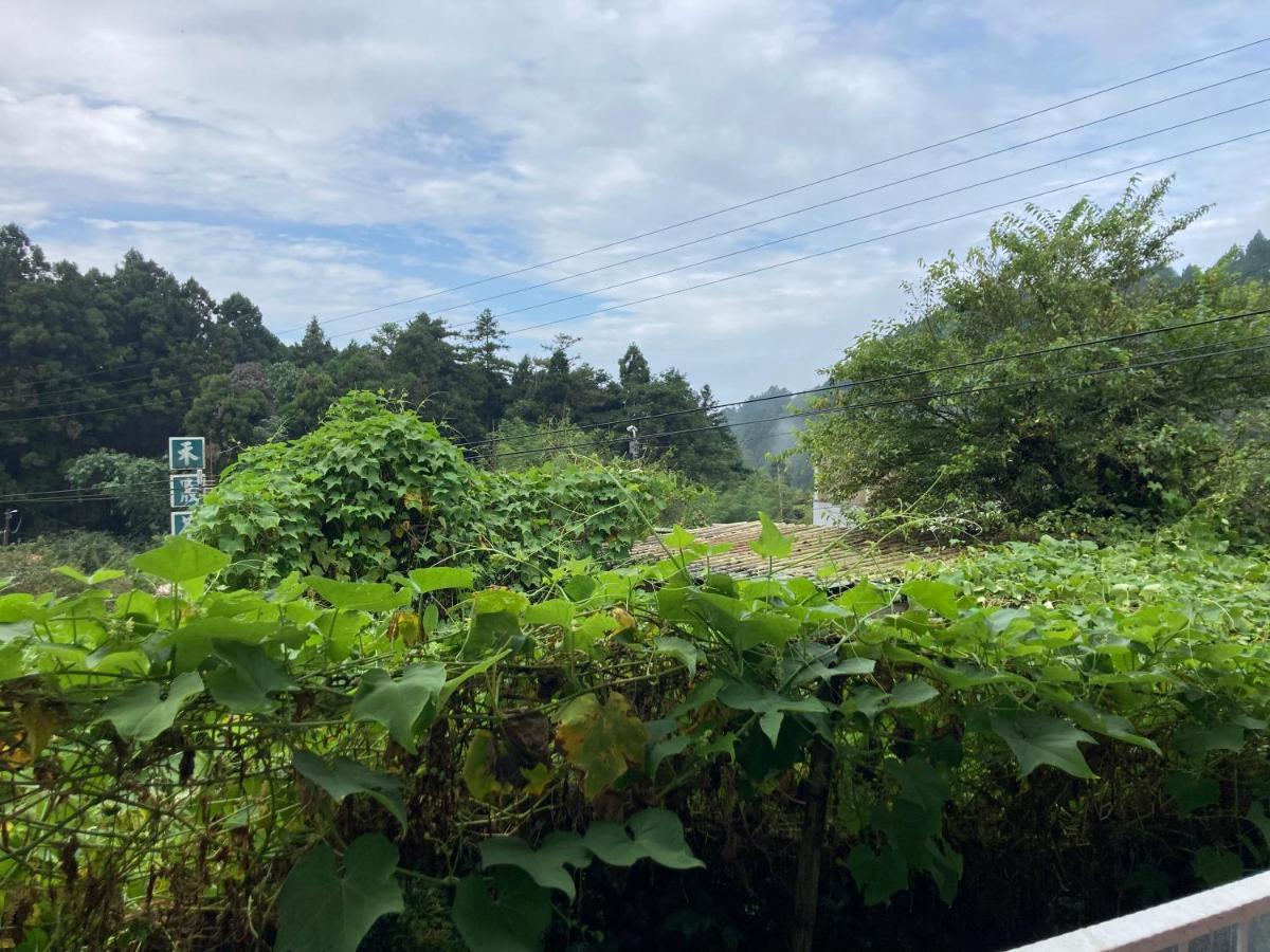 老老街 誠君民宿 Fenchihu Luaran gambar